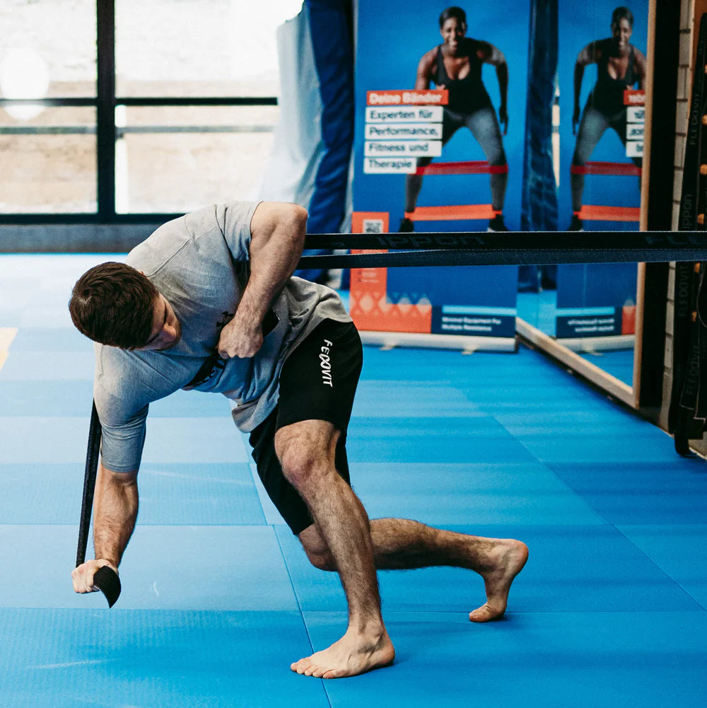 FLEXVIT Sparring Bands