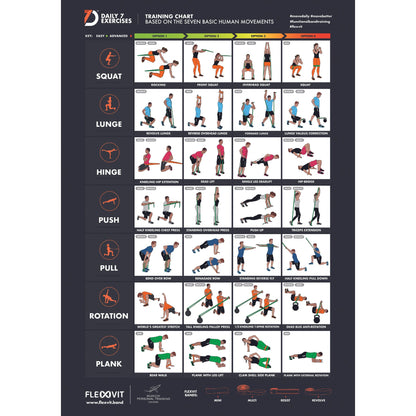 Day Gym Workout Plan With Images Pdf FLEXVIT Daily Poster